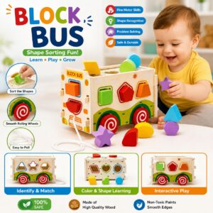 wooden assembling car with shape sorter