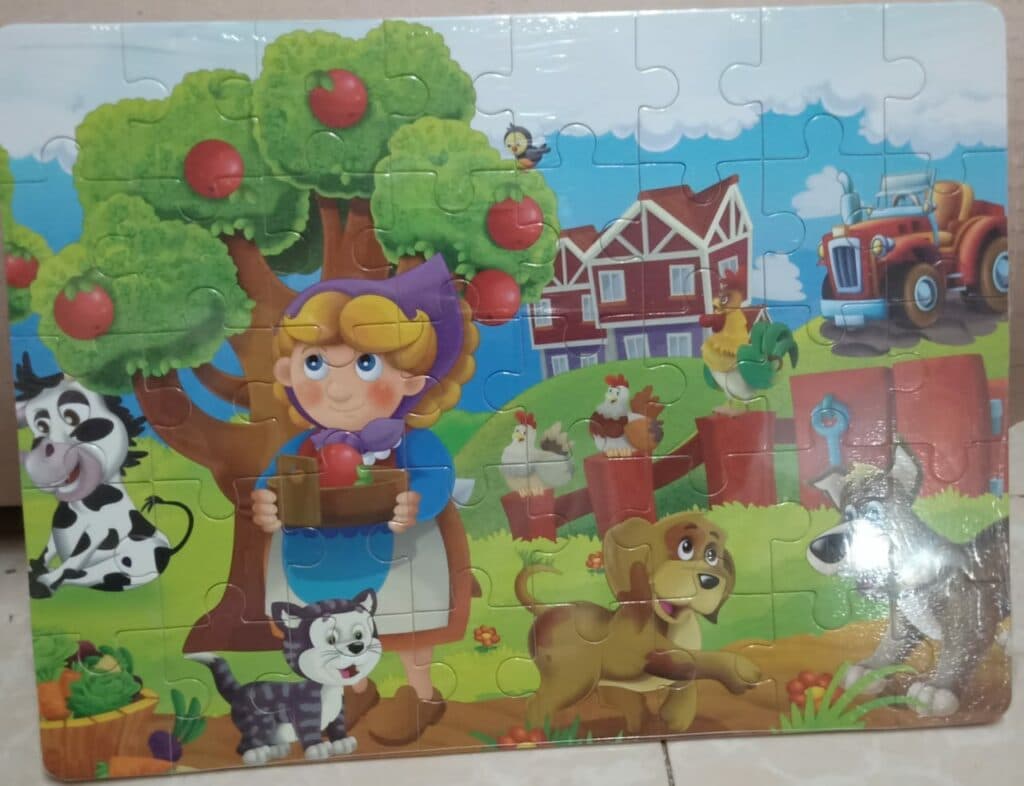 Wooden Jigsaw Puzzle 40 Pieces With Guide Learning Toys Pakistan