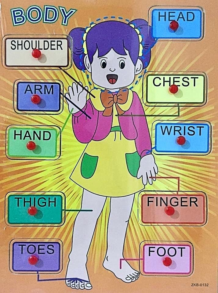 Wooden Body Parts Peg Puzzle