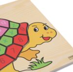Turtle Wooden Board Letters And Numbers - Image 2
