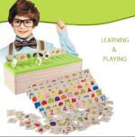 Wooden Classification Box(Sorter With 8 Lessons)