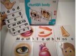 Puzzle Sets Human Body - Image 2