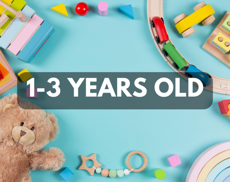 Learning Toys for 1 to 3 years old kids