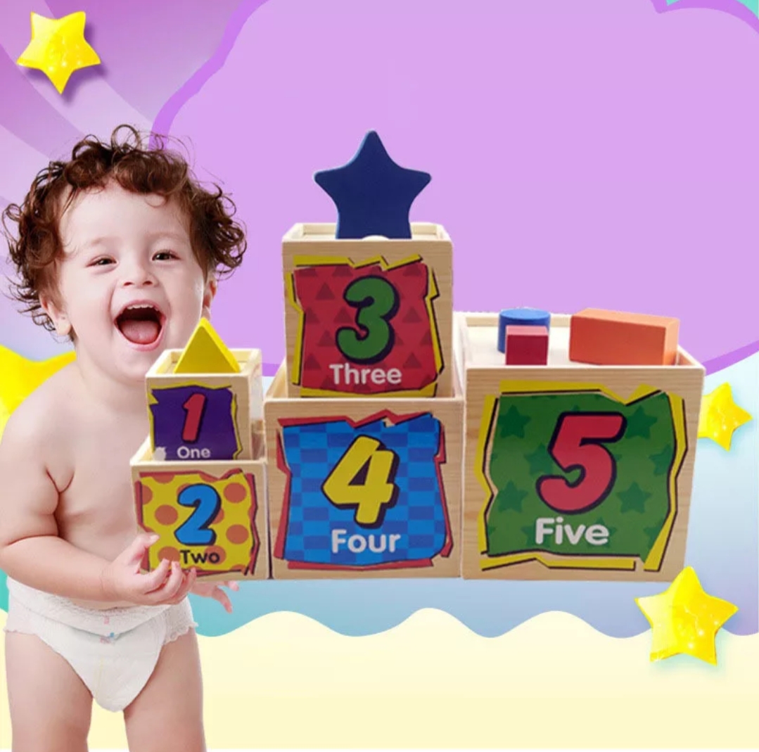 Shape Matching And Sorting 5 Wooden Boxes