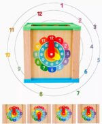 Educational Sorter with Four Set Of Columns - Image 6