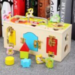 Wooden Sorter With Practising Locks