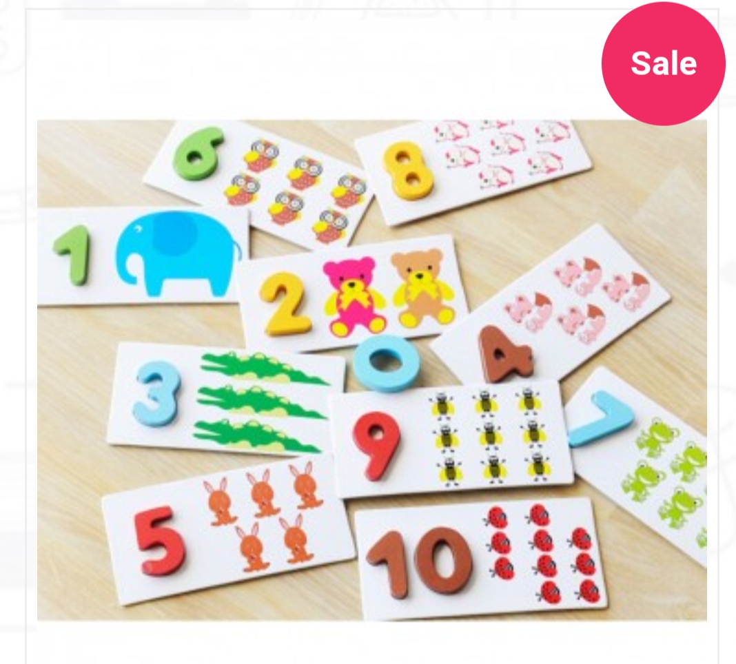 Wooden Numbers Identification cards