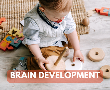 Brain Development Toys Pakistan
