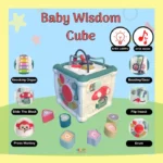 Wisdom Cube Educational Sorter 6 in 1