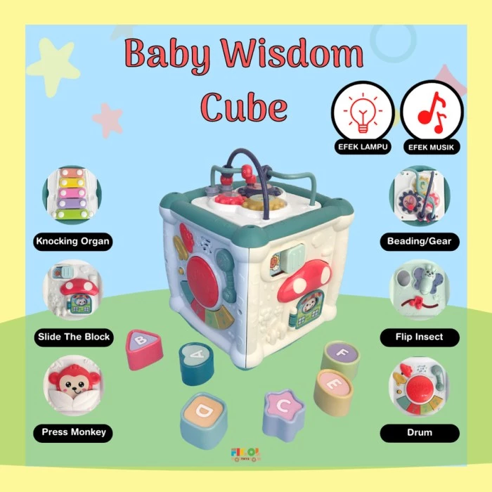 Wisdom Cube Educational Sorter 6 in 1