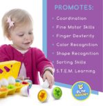 Shape and Color Matching Eggs