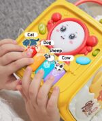 6 In 1 Activity Cube Sorter Box - Image 7